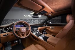 
										BENTLY CONTINENTAL GTV8 full									